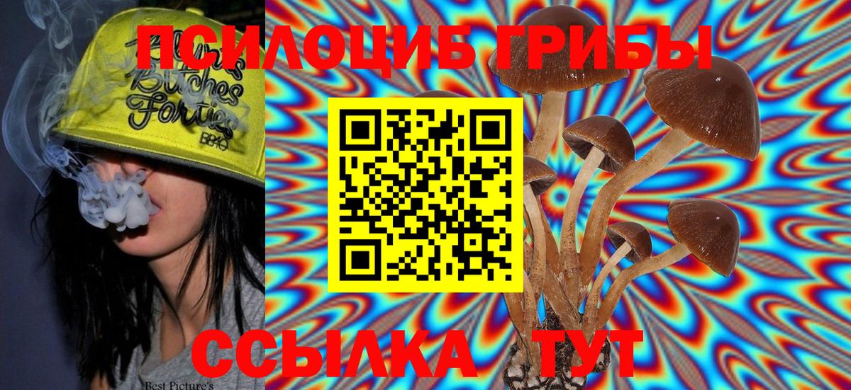 Псилоцибиновые грибы Psilocybe  Вход с VPN  Владимир  Псилоцибиновые грибы Magic Shrooms 
